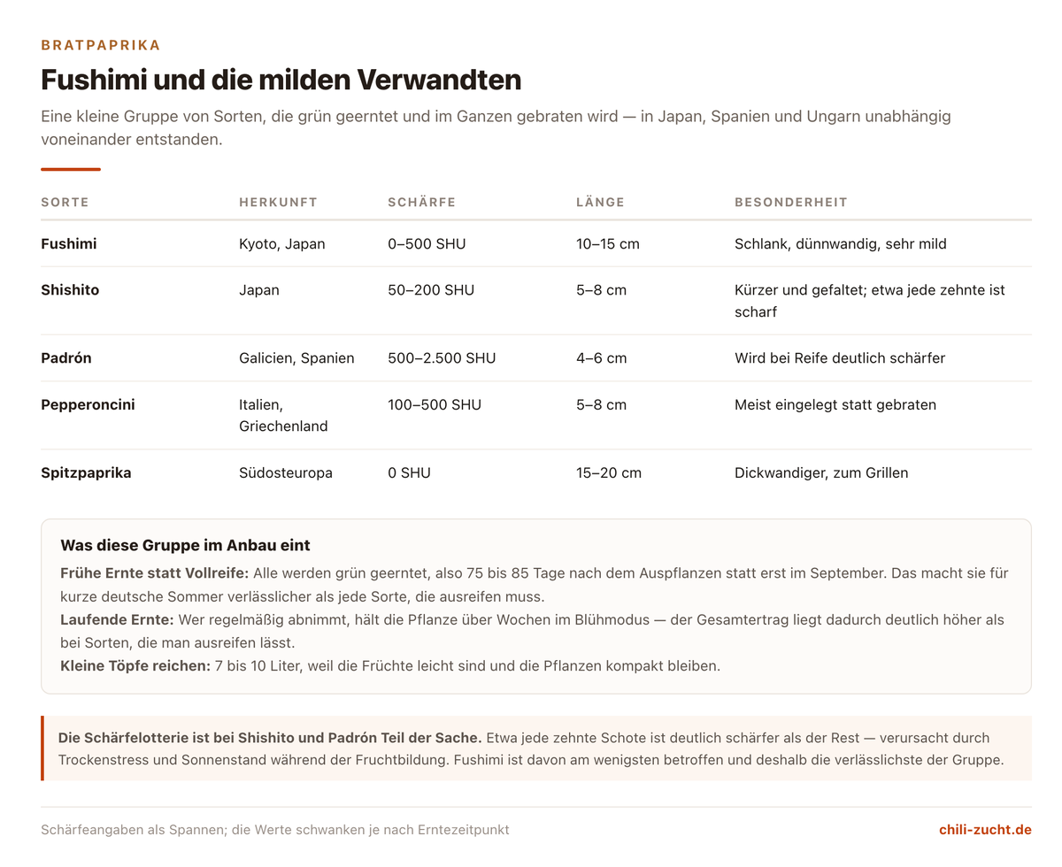 Vergleich milder Bratpaprika-Sorten Fushimi, Shishito, Padron, Pepperoncini und Spitzpaprika nach Herkunft, Schärfe und Länge