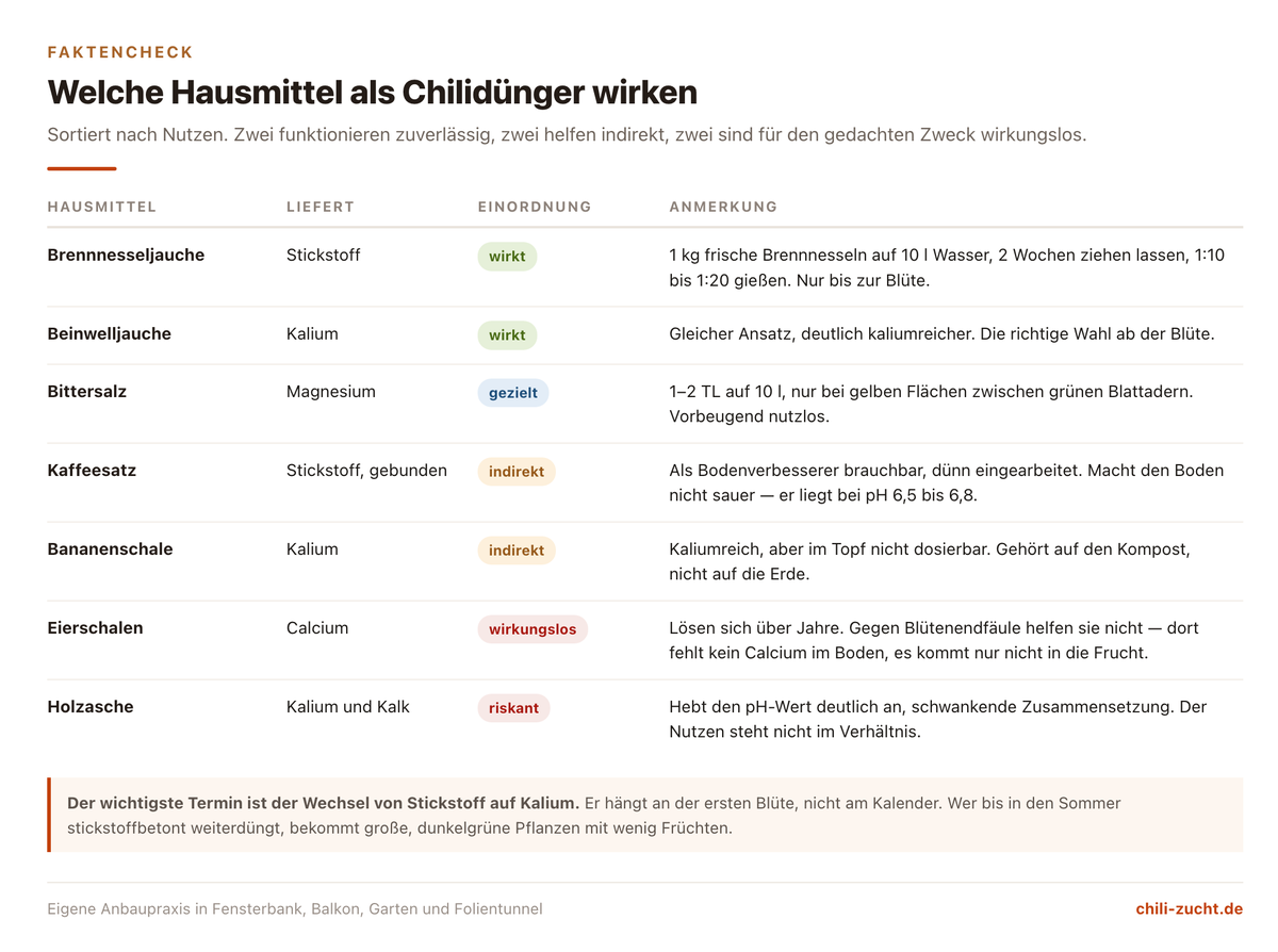 Faktencheck zu Hausmitteln als Chilidünger: Kaffeesatz, Bananenschale, Brennnesseljauche, Eierschalen, Holzasche und Bittersalz mit Bewertung und Nährstoff