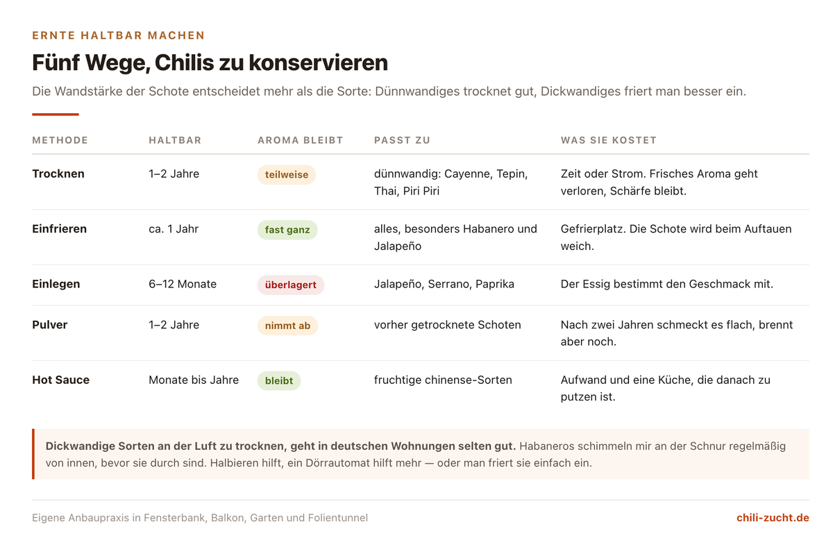 Vergleich von fünf Konservierungsmethoden für Chilis mit Haltbarkeit, Aufwand, Schärfeerhalt und geeigneten Sorten