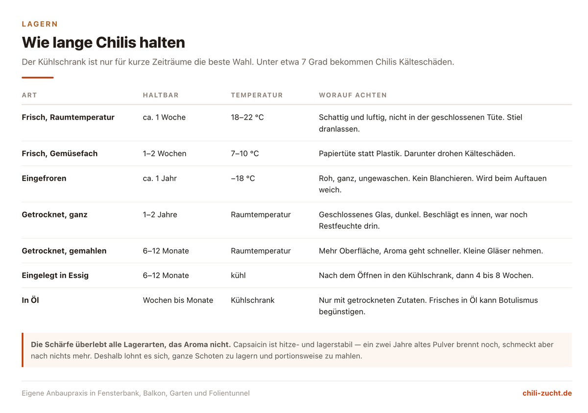 Übersicht der Lagerarten für Chilis mit Haltbarkeit, Temperatur, geeigneten Zuständen und Hinweisen von frisch über eingefroren bis getrocknet