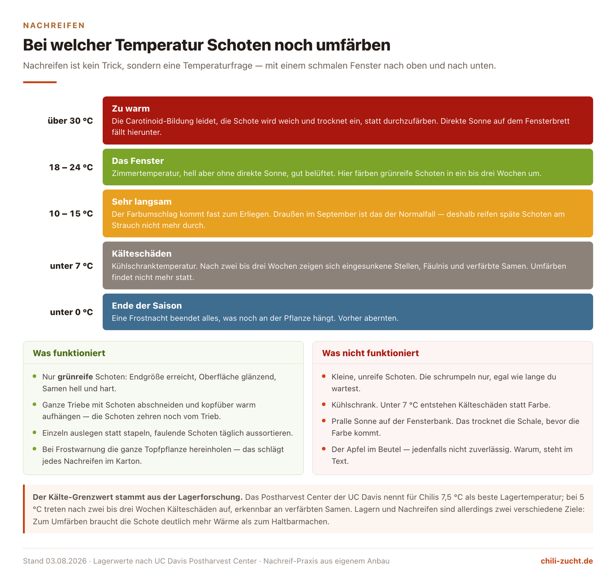 Temperaturskala fürs Nachreifen von Chilis: über 30 Grad zu warm, 18 bis 24 Grad optimal, 10 bis 15 Grad sehr langsam, unter 7 Grad Kälteschäden