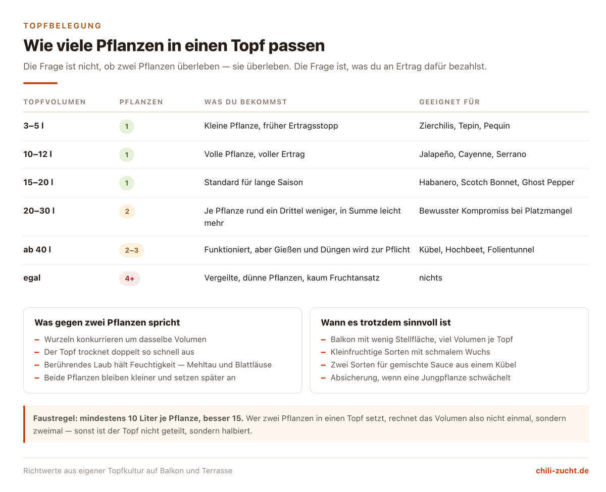 Tabelle: Topfvolumen von 3 bis 40 Litern mit empfohlener Pflanzenzahl, Ertragsfolgen und geeigneten Sorten