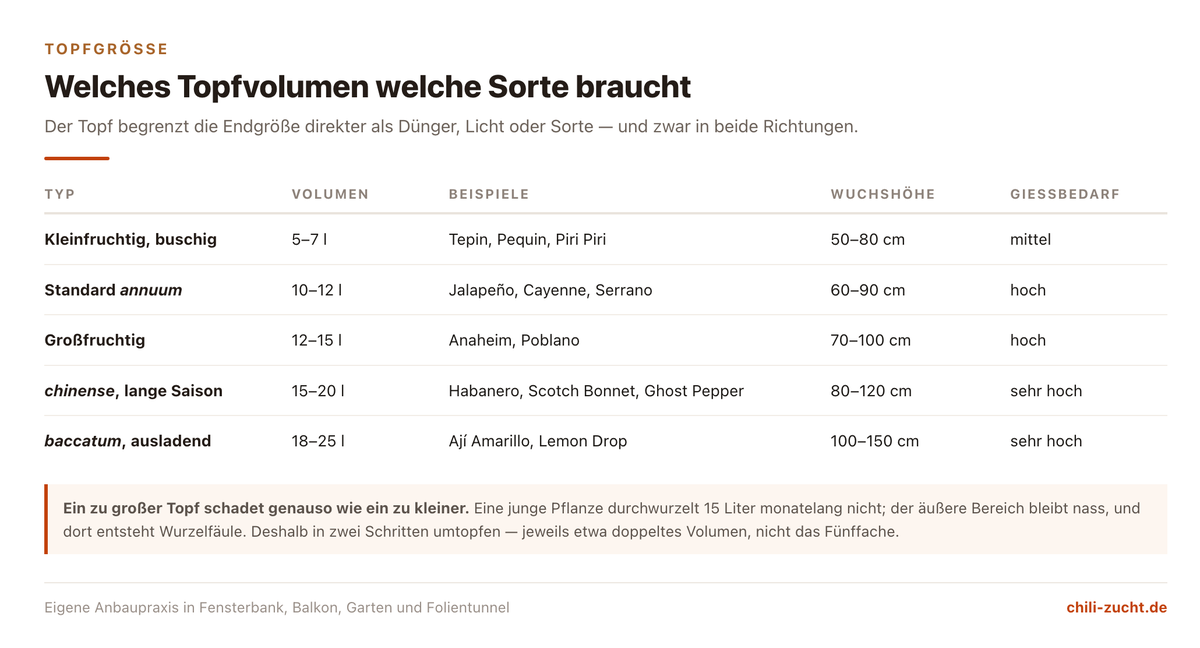 Übersicht der Topfvolumen für Chilipflanzen nach Sortentyp mit Beispielsorten, Wuchshöhe und Hinweisen zum Gießbedarf