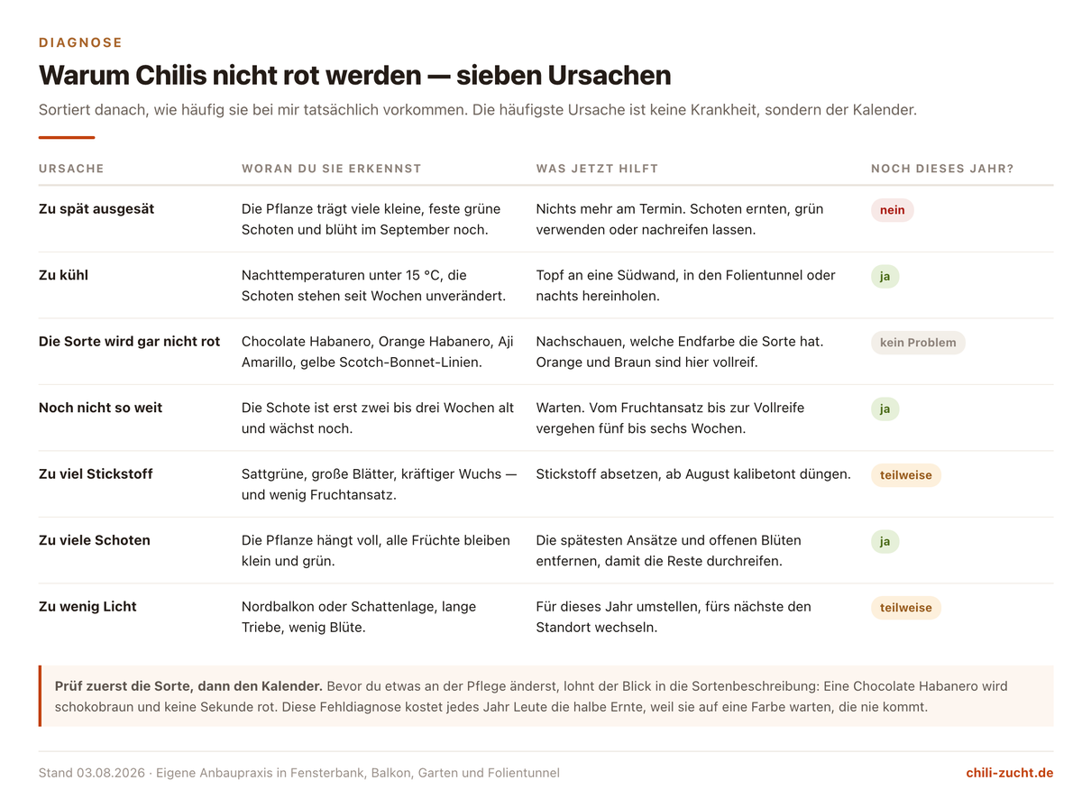 Tabelle mit sieben Ursachen dafür, dass Chilis nicht rot werden, jeweils mit Erkennungsmerkmal, Gegenmaßnahme und ob sich das Problem in derselben Saison noch beheben lässt