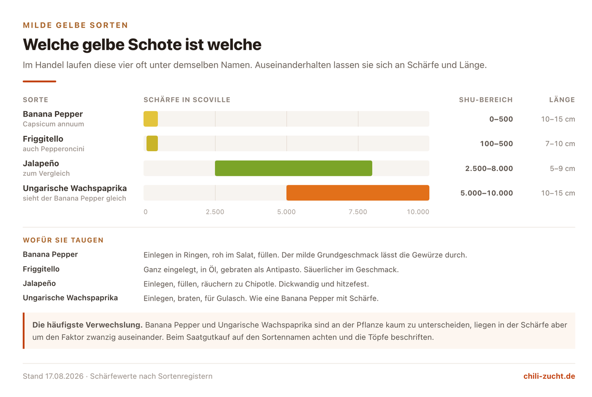 Vergleich der gelben milden Chilisorten Banana Pepper, Ungarische Wachspaprika und Friggitello nach Schärfe, Länge und Verwendung