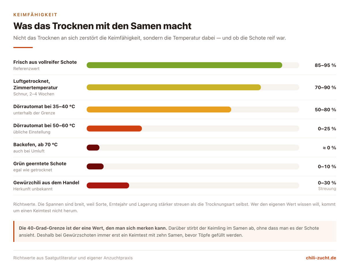 Balkendiagramm zur Keimfähigkeit von Chilisamen nach Trocknungsart, von frisch über luftgetrocknet bis Backofen