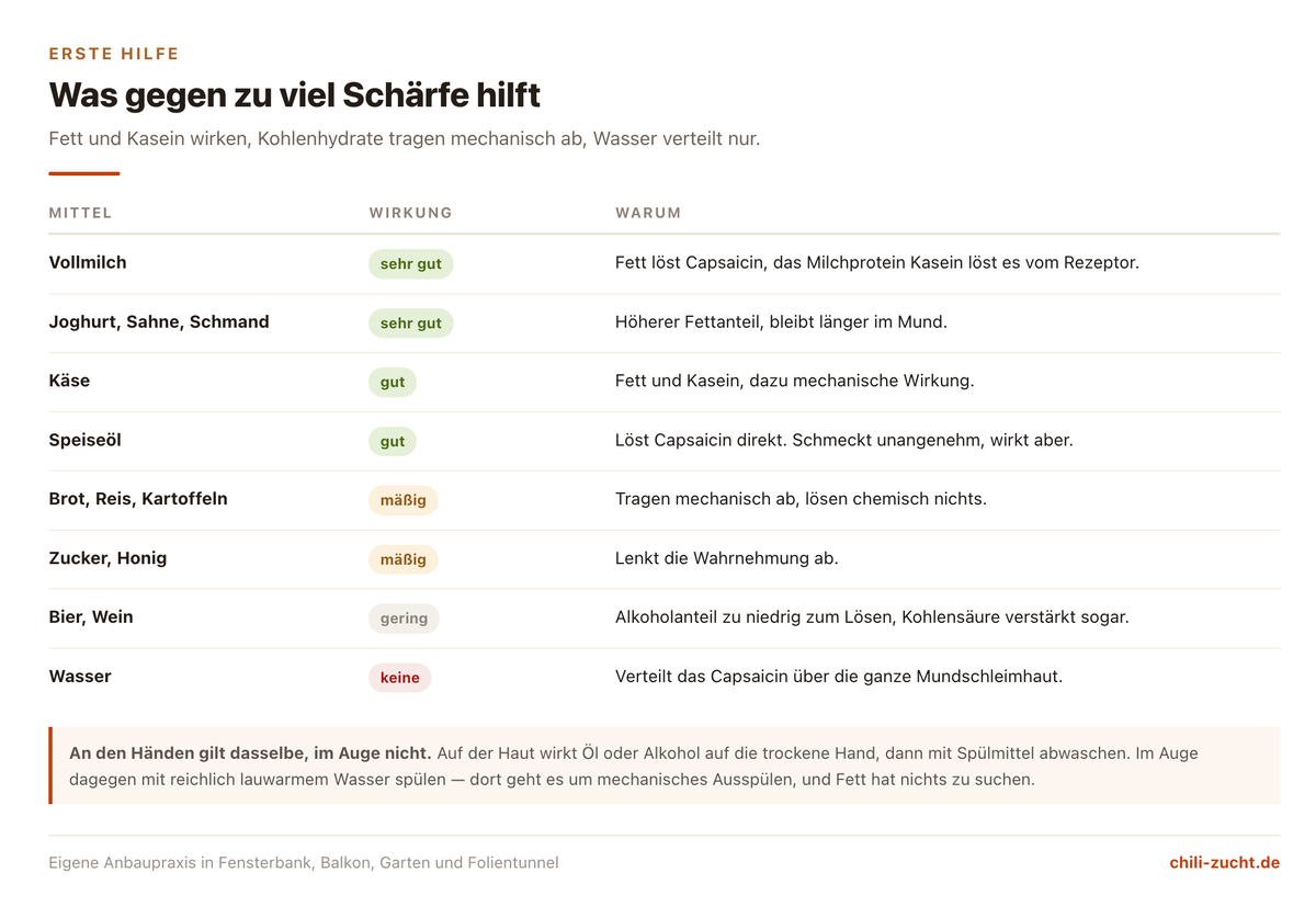Übersicht der Mittel gegen zu viel Chilischärfe im Mund mit Bewertung der Wirkung und der Begründung, warum Wasser nicht hilft