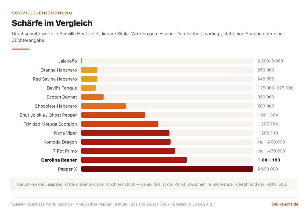 Balkendiagramm der Scoville-Werte von Jalapeño bis Pepper X mit hervorgehobenem Carolina Reaper
