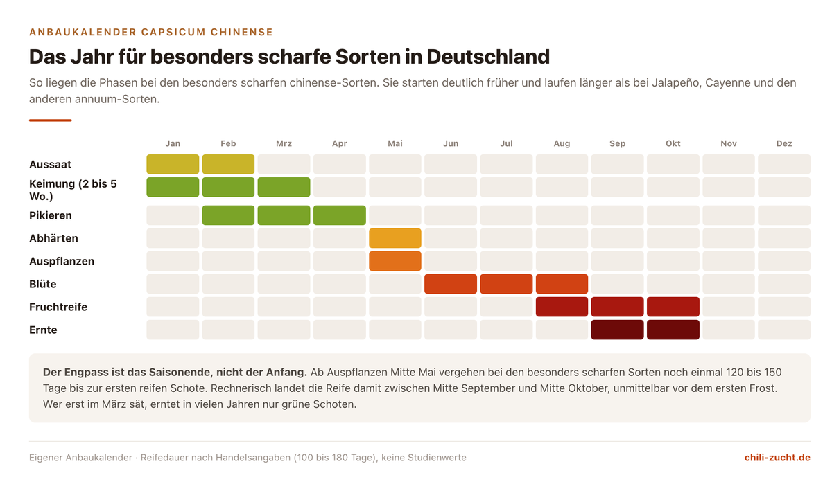 Monatsraster für den Anbau dieser Sorten in Deutschland von der Aussaat im Januar bis zur Ernte im Oktober