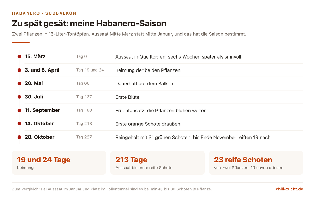 Zeitstrahl einer Habanero-Saison auf dem Südbalkon: Aussaat Mitte März, Keimung nach 19 und 24 Tagen, erste reife Schote nach 213 Tagen, 23 reife Schoten von zwei Pflanzen