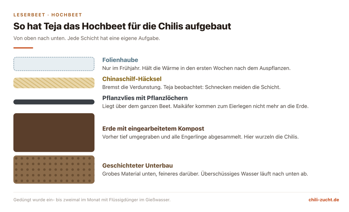 Schemazeichnung eines Hochbeets im Schnitt, von oben nach unten: Folienhaube, Chinaschilf-Häcksel, Pflanzvlies mit Pflanzlöchern, Erde mit Kompost, geschichteter Unterbau, jeweils mit ihrer Aufgabe