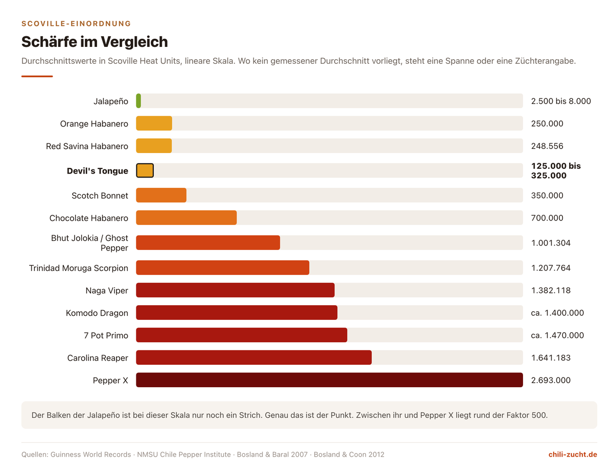Balkendiagramm der Scoville-Werte von Jalapeño bis Pepper X, die Devil's Tongue farblich hervorgehoben im oberen Habanero-Bereich