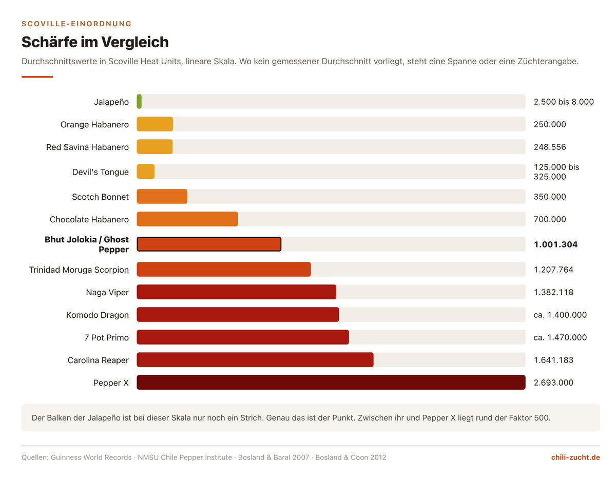 Balkendiagramm der Scoville-Werte von Jalapeño bis Pepper X, die Bhut Jolokia mit rund einer Million SHU ist hervorgehoben