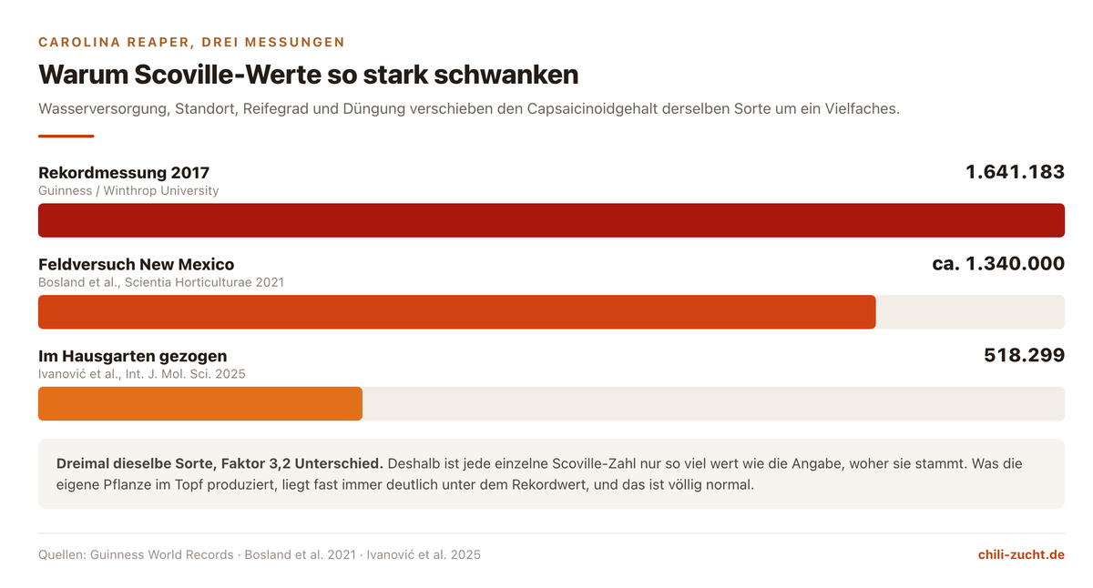 Vergleich von drei Scoville-Messungen an der Carolina Reaper: 1.641.183, 1.340.000 und 518.299 SHU