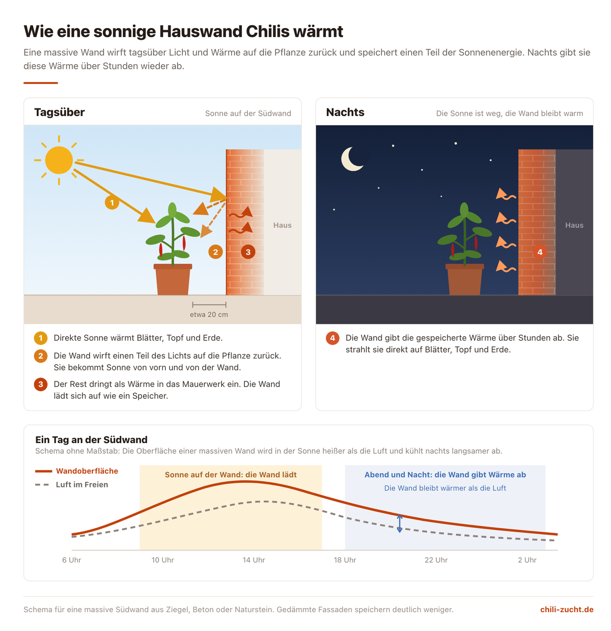 Infografik in zwei Bildern: Tagsüber trifft Sonne die Pflanze direkt und über die Hauswand, die Wand nimmt Wärme auf. Nachts strahlt die Wand die gespeicherte Wärme auf die Pflanze ab. Darunter ein Tagesverlauf, in dem die Wandoberfläche wärmer bleibt als die Luft.